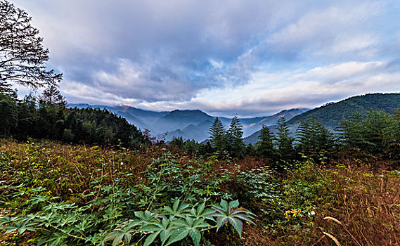 山村秀色