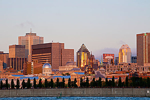 天际线,风景,蒙特利尔,魁北克,加拿大