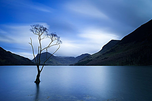 孤木,黄昏,湖,湖区,英格兰
