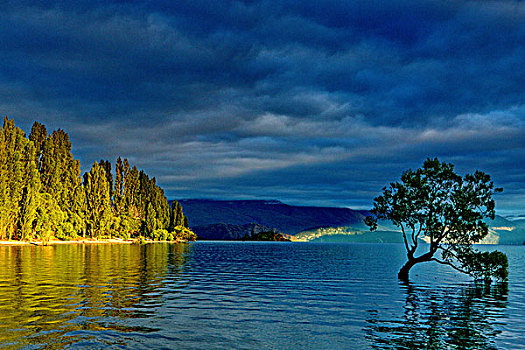新西兰,蒂阿瑙湖