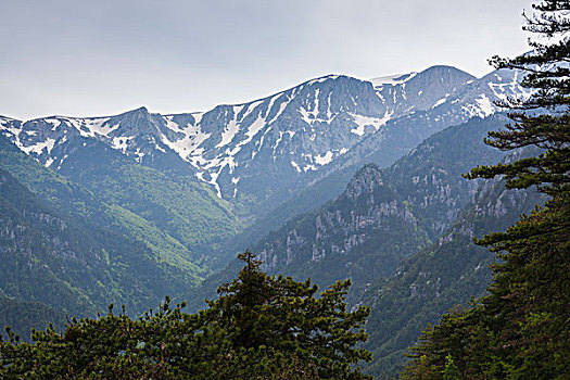 希腊,中马其顿,攀升,风景,道路