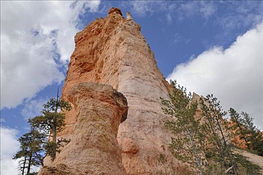 针,怪岩柱,布莱斯峡谷国家公园,犹他,美国