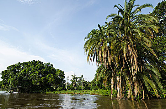 景色,河,刚果