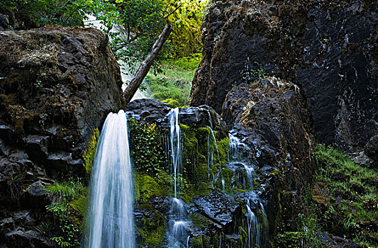 瀑布,溪流,靠近,花园,俄勒冈,美国