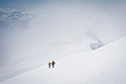 滑雪者,滑雪,顶峰,攀升,冬天,阿拉斯加