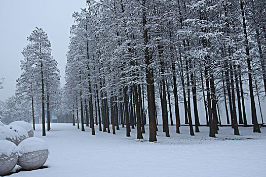 没有脚印的雪