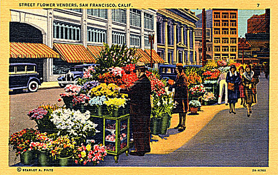 街道,花,出售,旧金山,加利福尼亚,美国