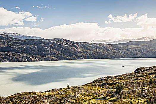 风景,格里冰河,湖,托雷德裴恩国家公园,智利