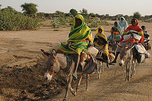 女人,旅行,驴,露营,人,近郊,西部,达尔富尔,苏丹,十一月,2004年