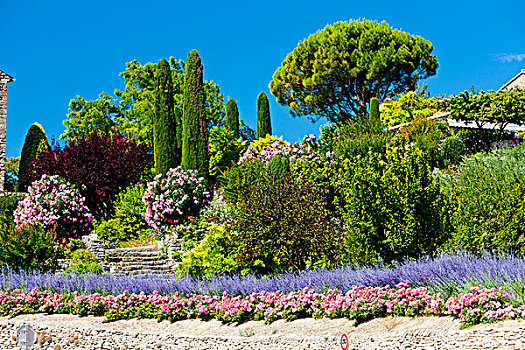 花园,高尔德,普罗旺斯,法国