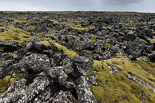 石头,苔藓,熔岩原,南方,半岛,雷克雅奈斯,冰岛,欧洲