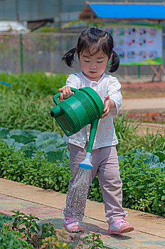 给菜园浇水的小女孩