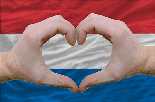 心形,喜爱,手势,展示,上方,旗帜,荷兰,背影