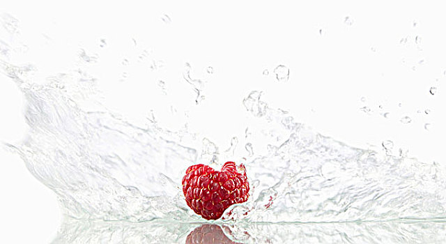 树莓,溅,水