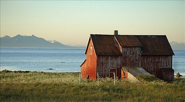 红色,房子,海洋,风景,岛屿,挪威