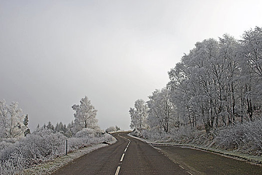 苏格兰,荒芜,道路,冬天