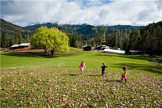 孩子,跑,草场,牧场,北加州