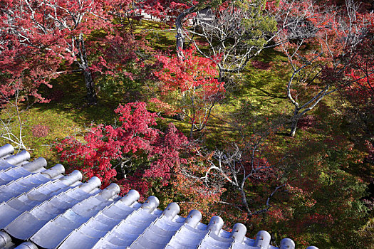 日本京都南禅寺