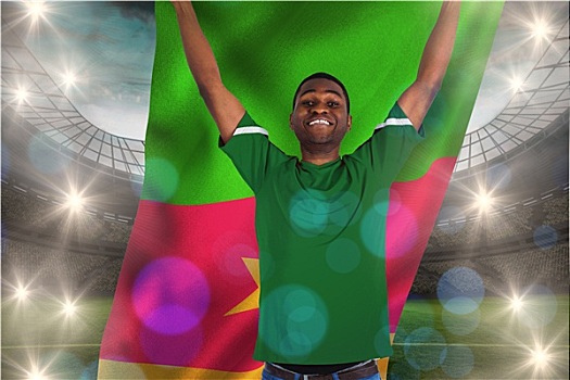 欢呼,球迷,绿色,拿着,喀麦隆,旗帜,大,足球场