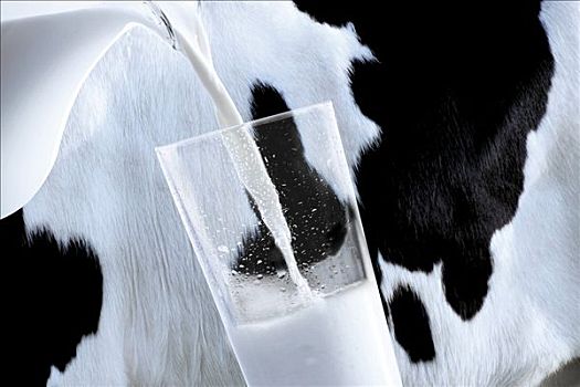 玻璃杯,新鲜,牛奶,倒入,正面,母牛