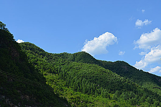 集安油菜花花海