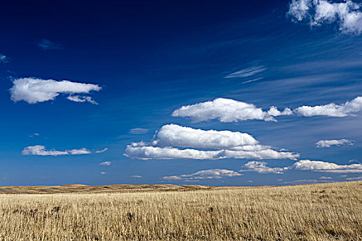 干燥,草场,群山,背景,蓝天,云,溪流,艾伯塔省,加拿大