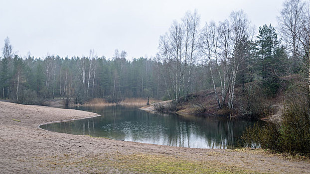 雾状,春景,树林,湖