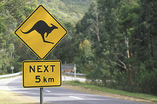 小心,路标,袋鼠,道路,后面,澳大利亚,维多利亚