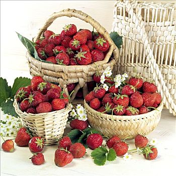 新鲜,草莓,正面,三个,篮子