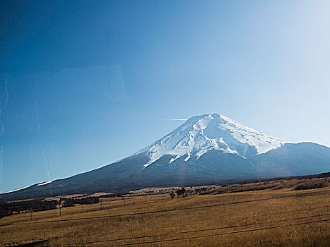 富士山下牧场