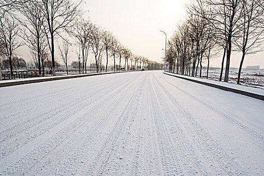 雪覆盖的路