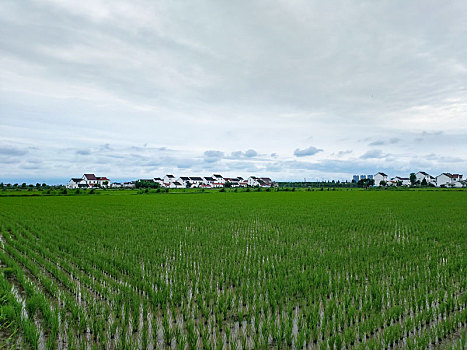 田园风光,乡村人家