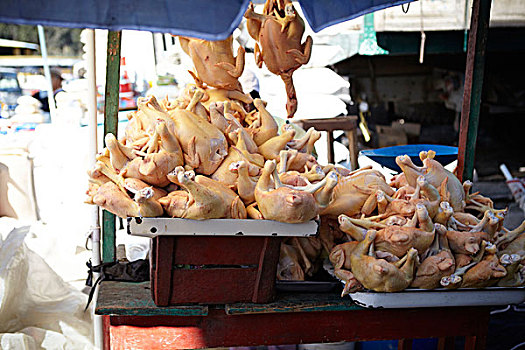 鸡肉,货摊,厄瓜多尔