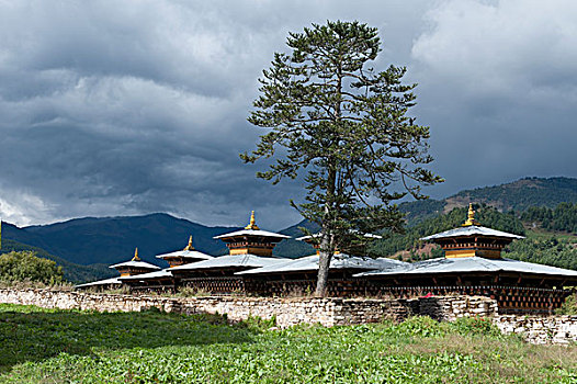 宫殿,山,背景,山谷,布姆唐,地区,不丹