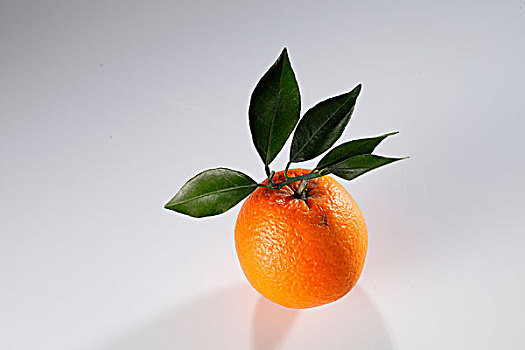 水果新鲜橙子,脐橙,绿叶