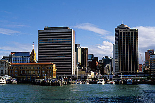 新西兰,奥克兰,市区,水岸,老,渡轮,建筑