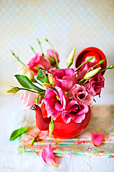 精美,粉色,花,放置,红色,茶壶,几个,花瓣,躺着,折叠,餐巾,白色背景,表面