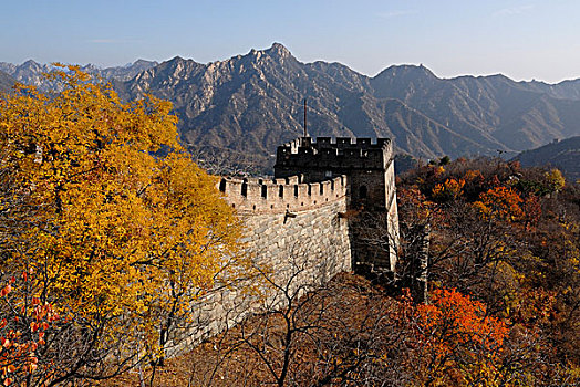 墙壁,靠近,慕田峪,瞭望塔,秋天,色彩,树,京郊,亚洲