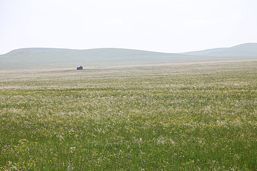 内蒙古西乌珠穆沁大草原美景