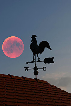 血,月亮,上方,屋顶,房子,风向标,巴登符腾堡,德国,欧洲