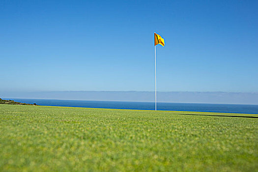 旗帜,高尔夫球场,远眺,海洋