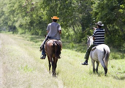 两个,骑马,古巴,加勒比海,北美
