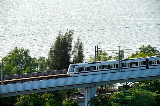 深圳地铁11号线与西湾红树林