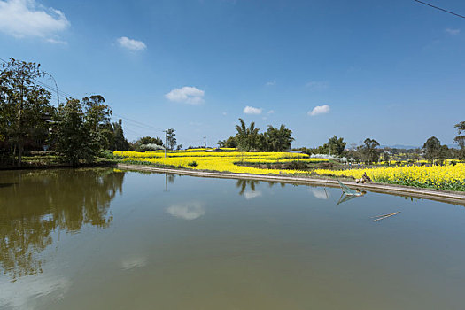 美丽乡村