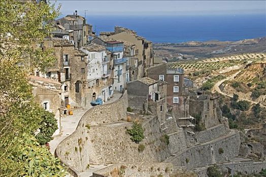 山村,建造,陡峭,平台,果园,海洋,背影,卡拉布里亚,意大利南部