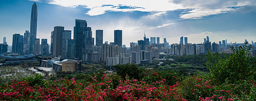 远眺深圳中心建筑