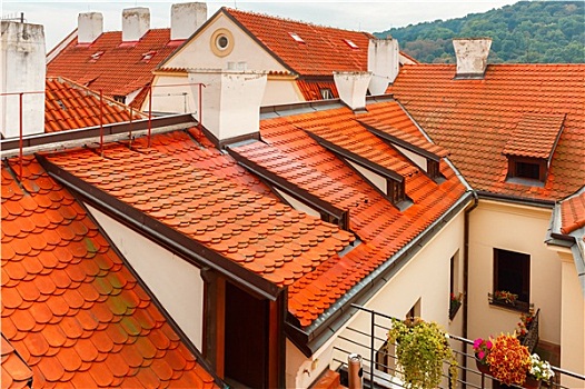 红色,砖瓦,屋顶,城镇,布拉格,捷克共和国