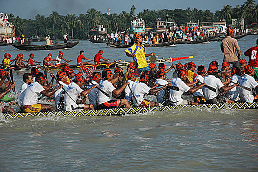 赛船,传统,运动,孟加拉,河,库尔纳市,十月,2007年