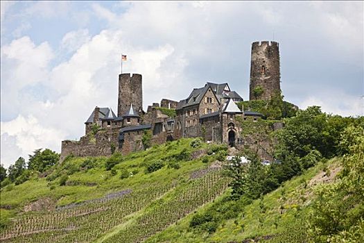 城堡,靠近,摩泽尔,城镇,地区,莱茵兰普法尔茨州,德国,欧洲