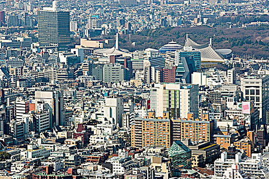 城市,山,东京,日本